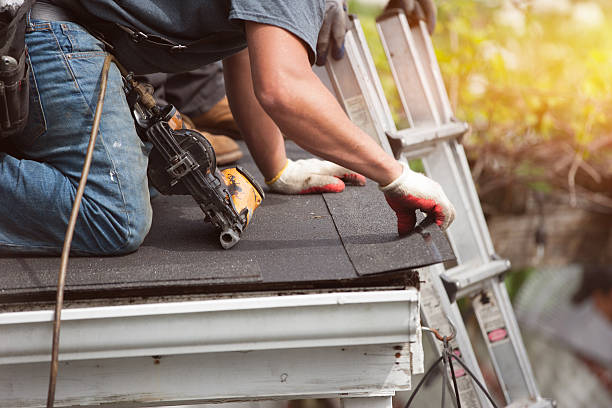 Professional Roofing Contractor in Apollo Beach, FL